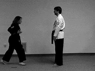 http://www.bakerfamily4.net/kenpo/Images/atwins.gif